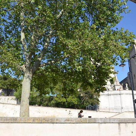Appartamento Face Au Palais Des Papes Avignone Esterno foto