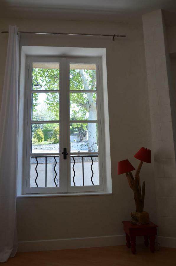 Appartamento Face Au Palais Des Papes Avignone Esterno foto