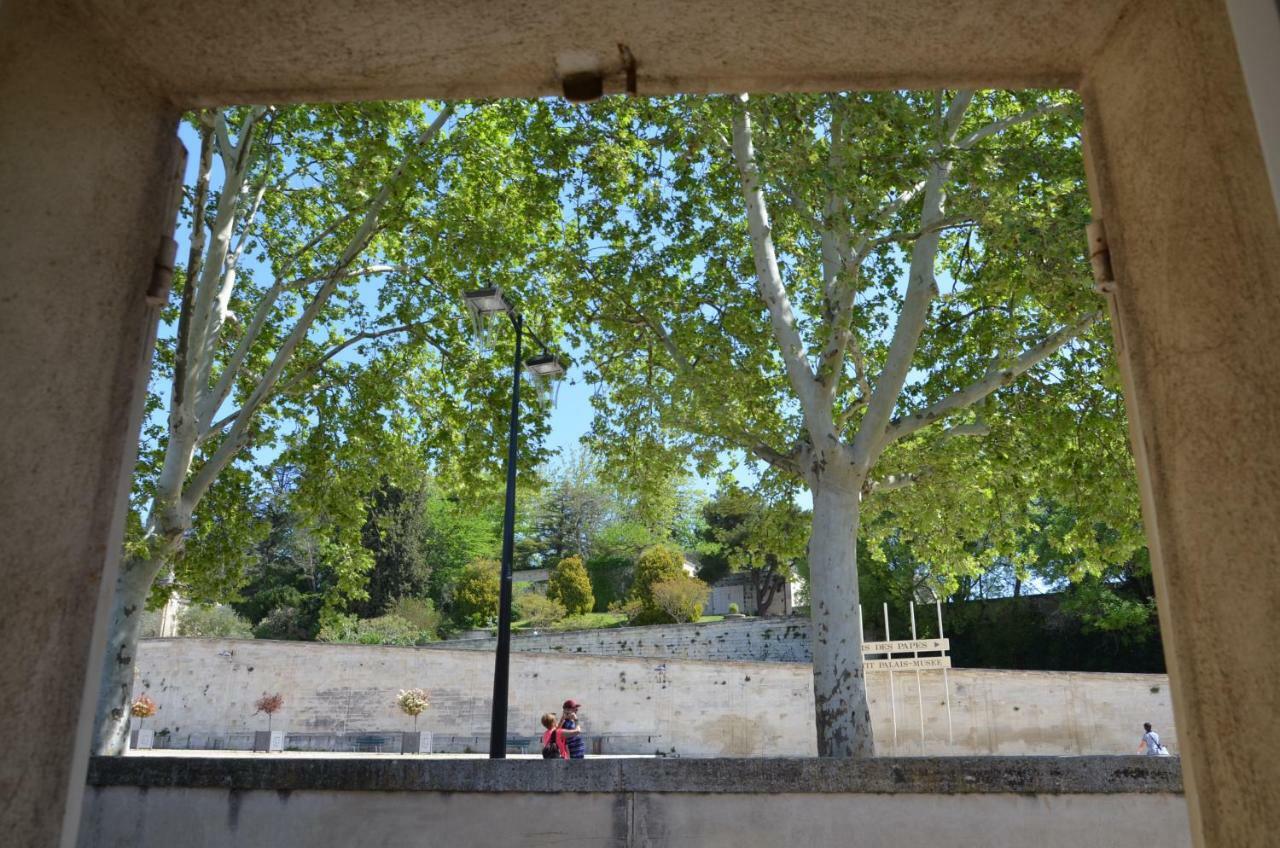 Appartamento Face Au Palais Des Papes Avignone Esterno foto