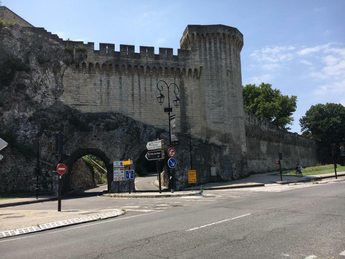 Appartamento Face Au Palais Des Papes Avignone Esterno foto