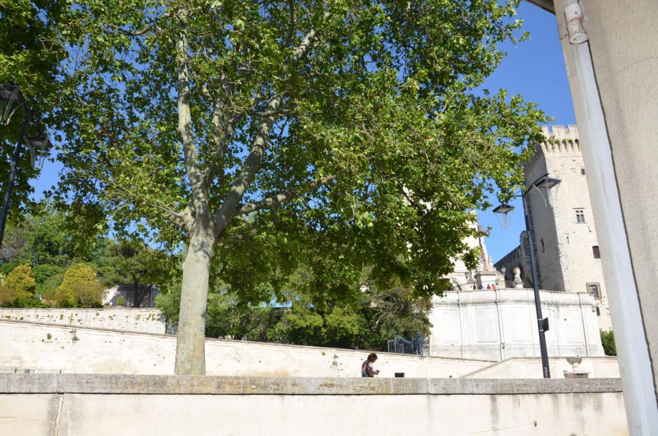 Appartamento Face Au Palais Des Papes Avignone Esterno foto